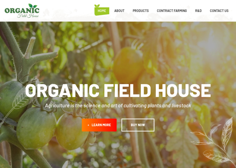 Organic Field House | VFS DIGITAL SOLUTIONS