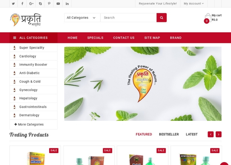 Prakriti Ayurveda | VFS DIGITAL SOLUTIONS